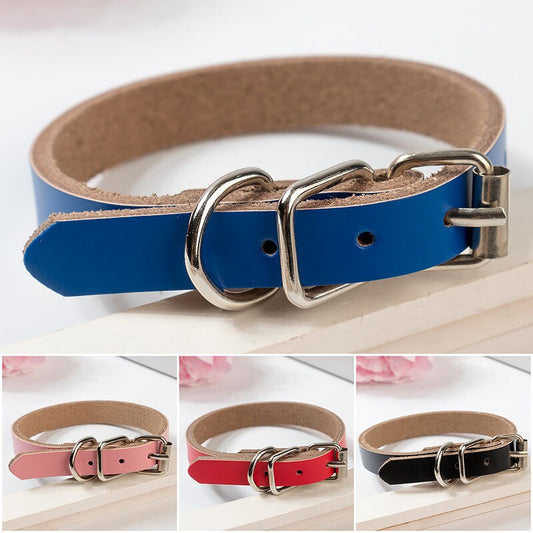 Leather dog collar