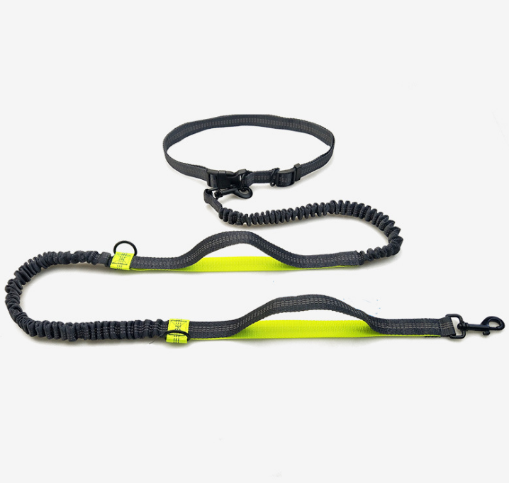 dog leash double elastic