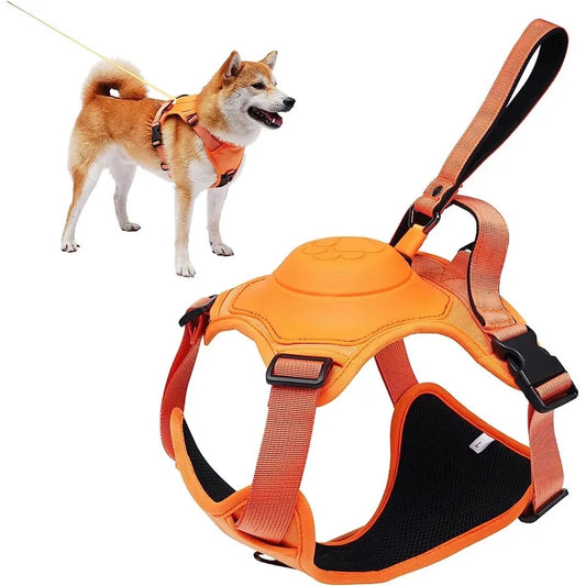 Dog Harness With Leash