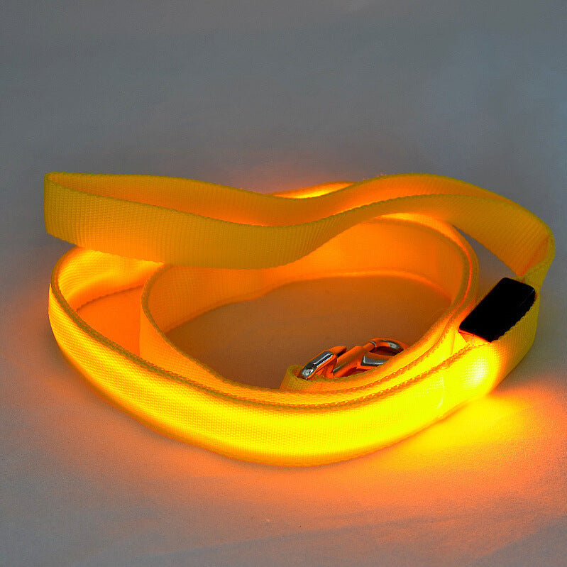 Glowing Pet Leash