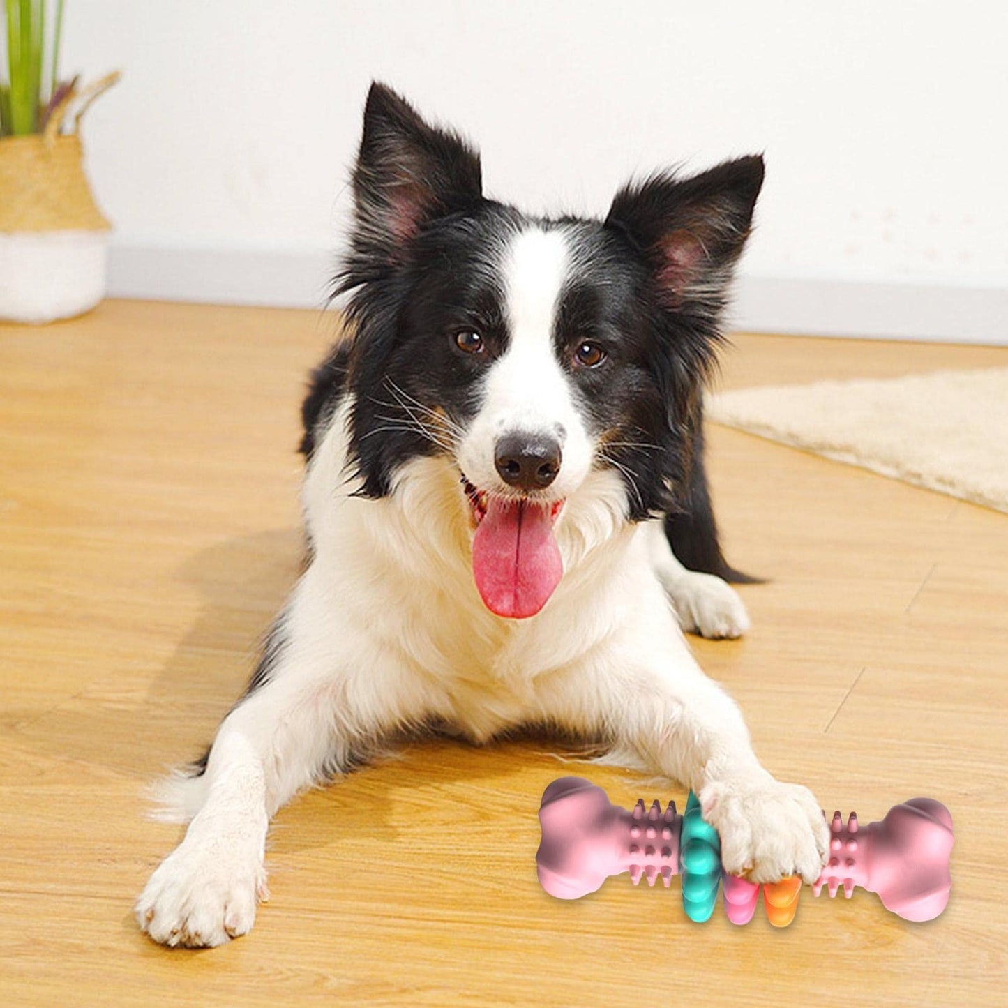 Dog Chew Toy Dog Bone