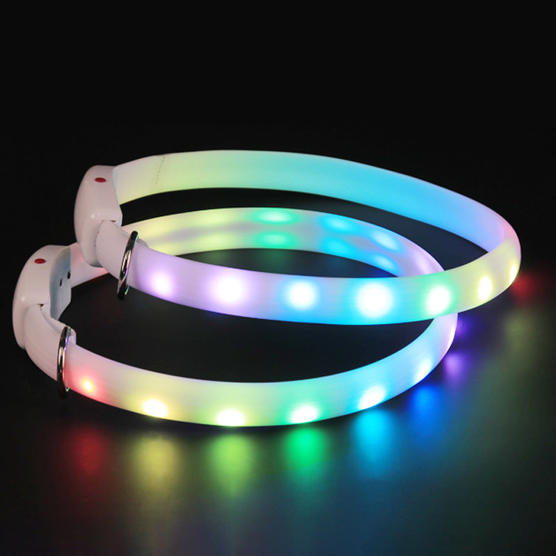 Dog Glowing Collar