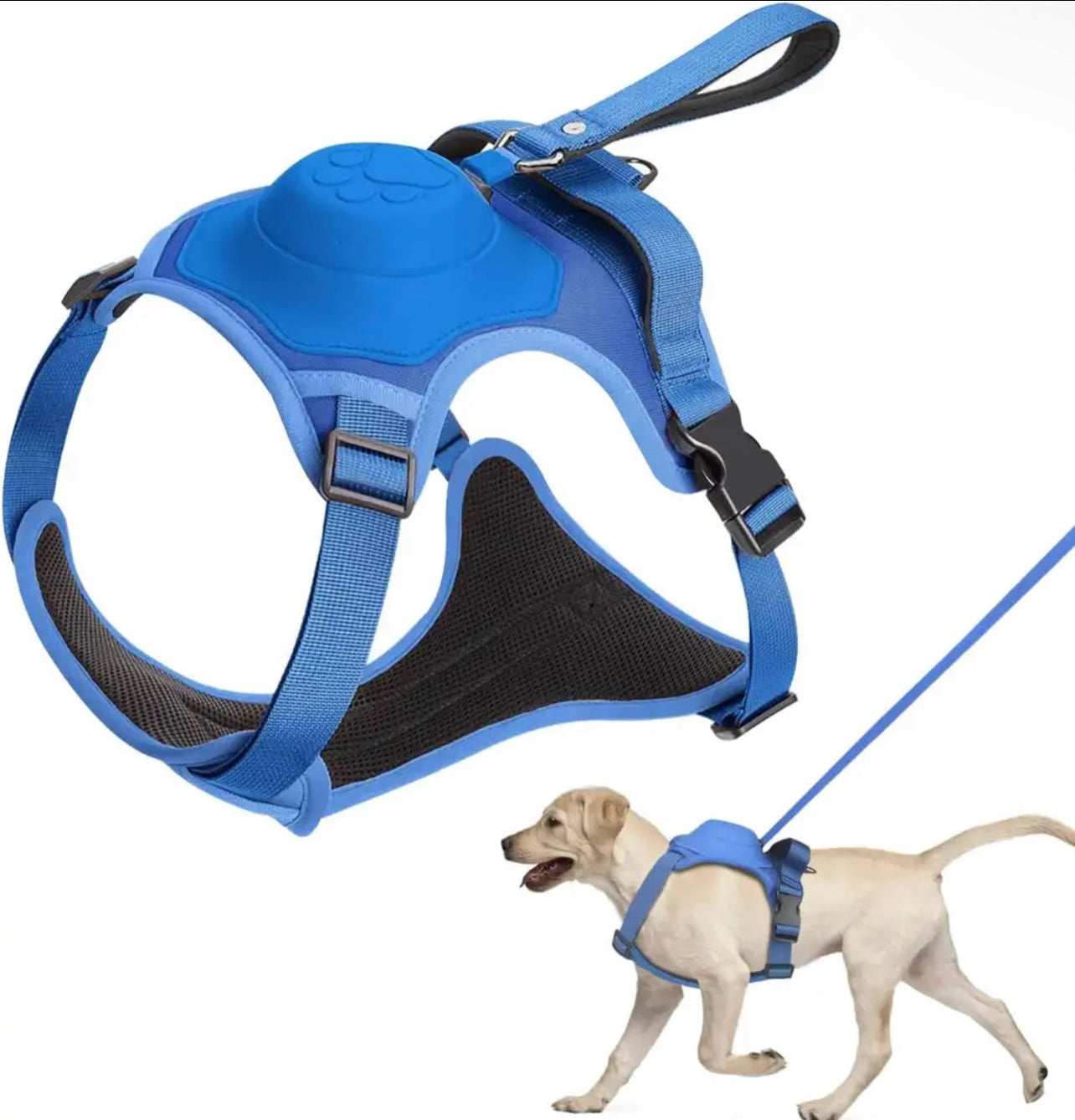 Dog Harness With Leash