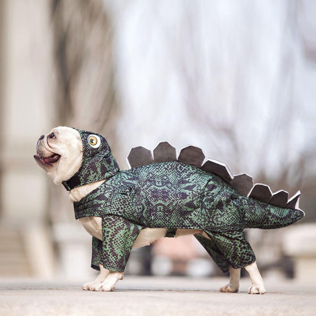 Pet dinosaur clothes