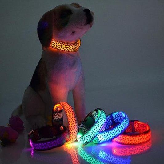 LED Dog Collar