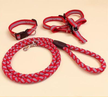 Pet dog leash