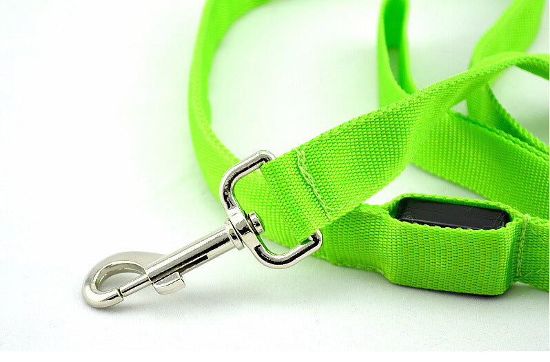 Glowing Pet Leash