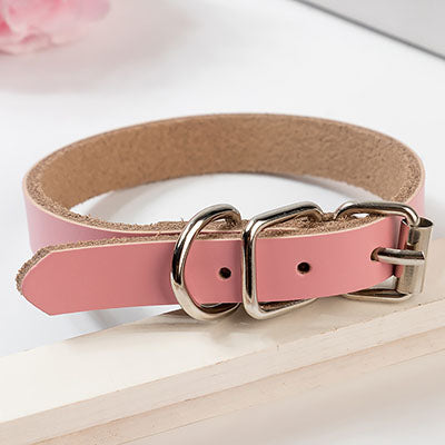 Leather dog collar