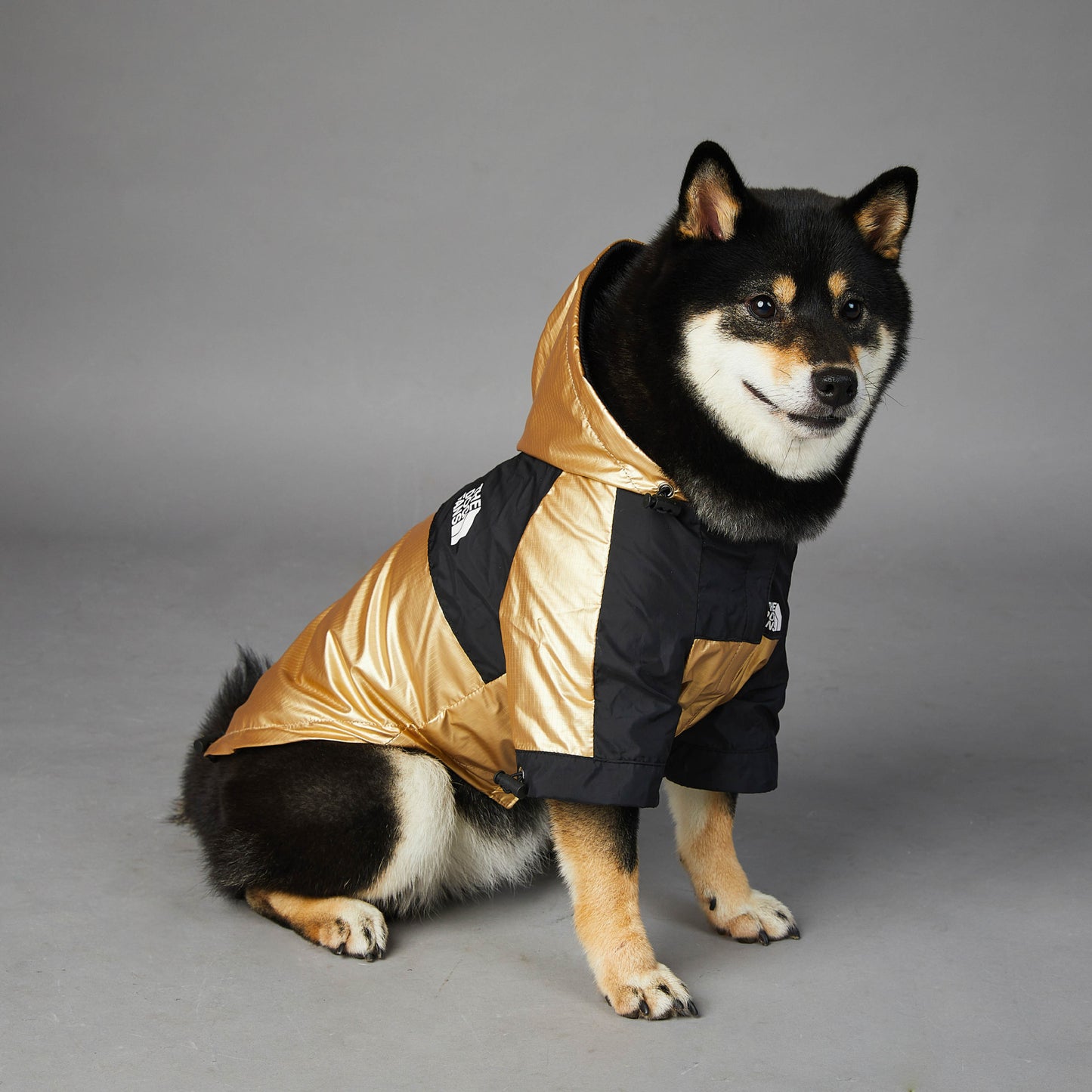 Dog Large Raincoat Pet Jacket