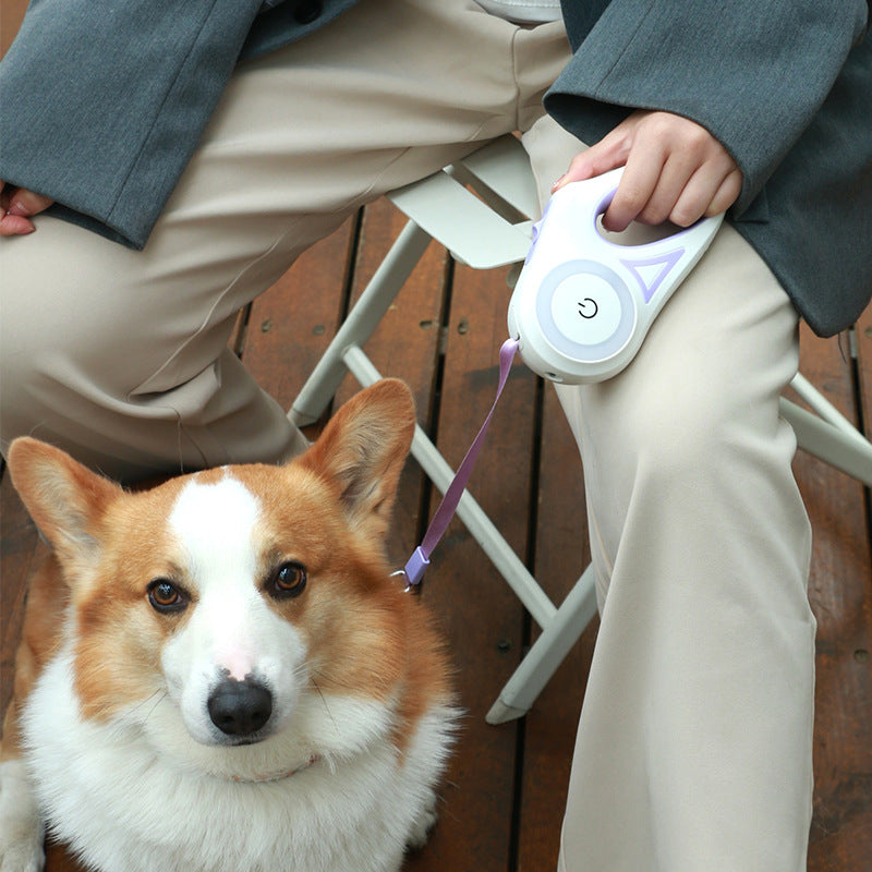 Dog Leash Retractable And Collar