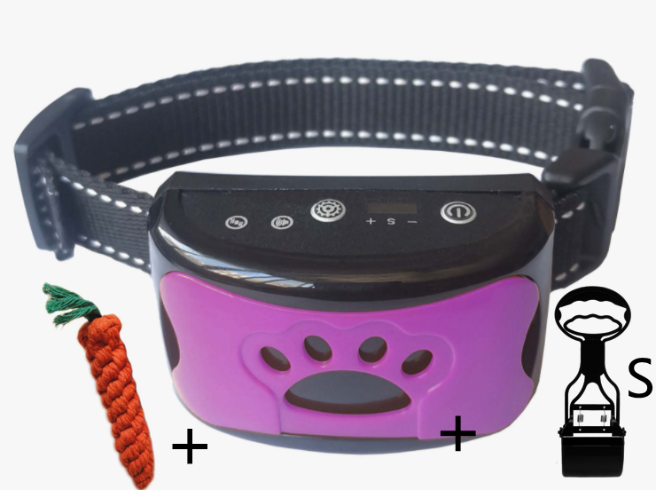 Dog Training Collar