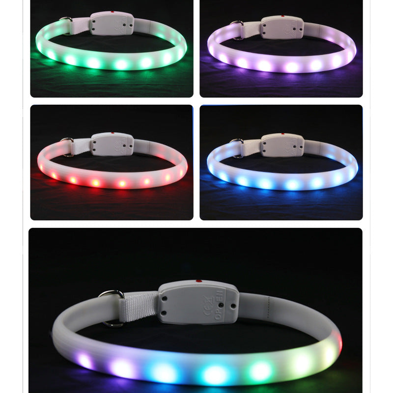 Dog Glowing Collar