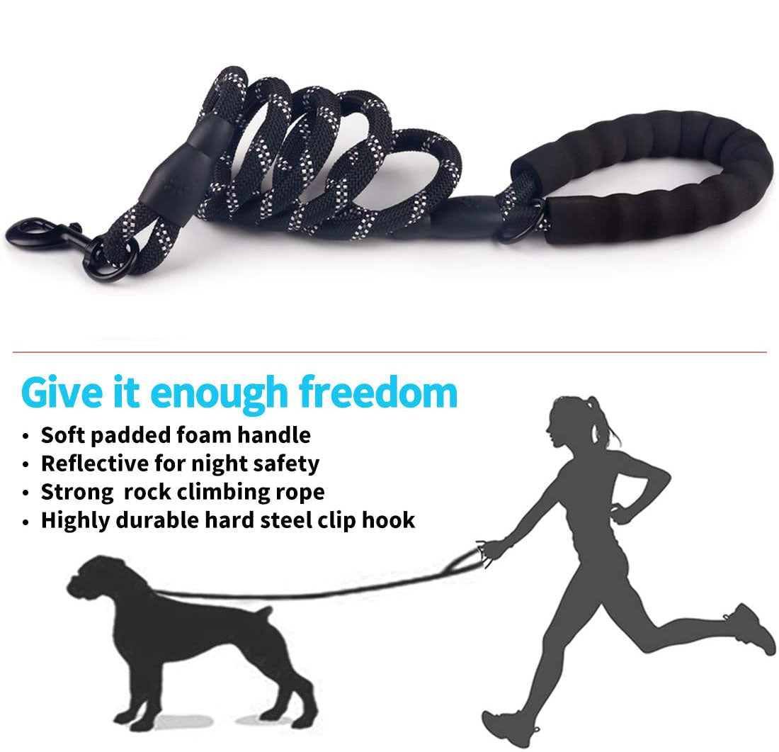 Dog Leash