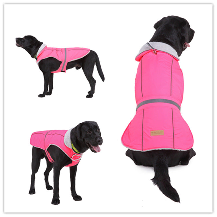 Pet clothes winter