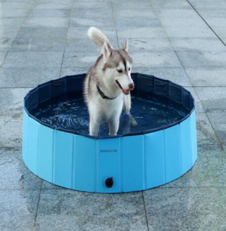 Pet Pool