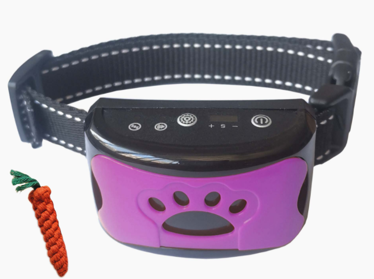 Dog Training Collar