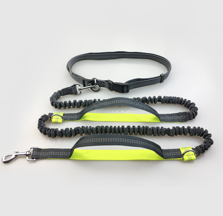 dog leash double elastic