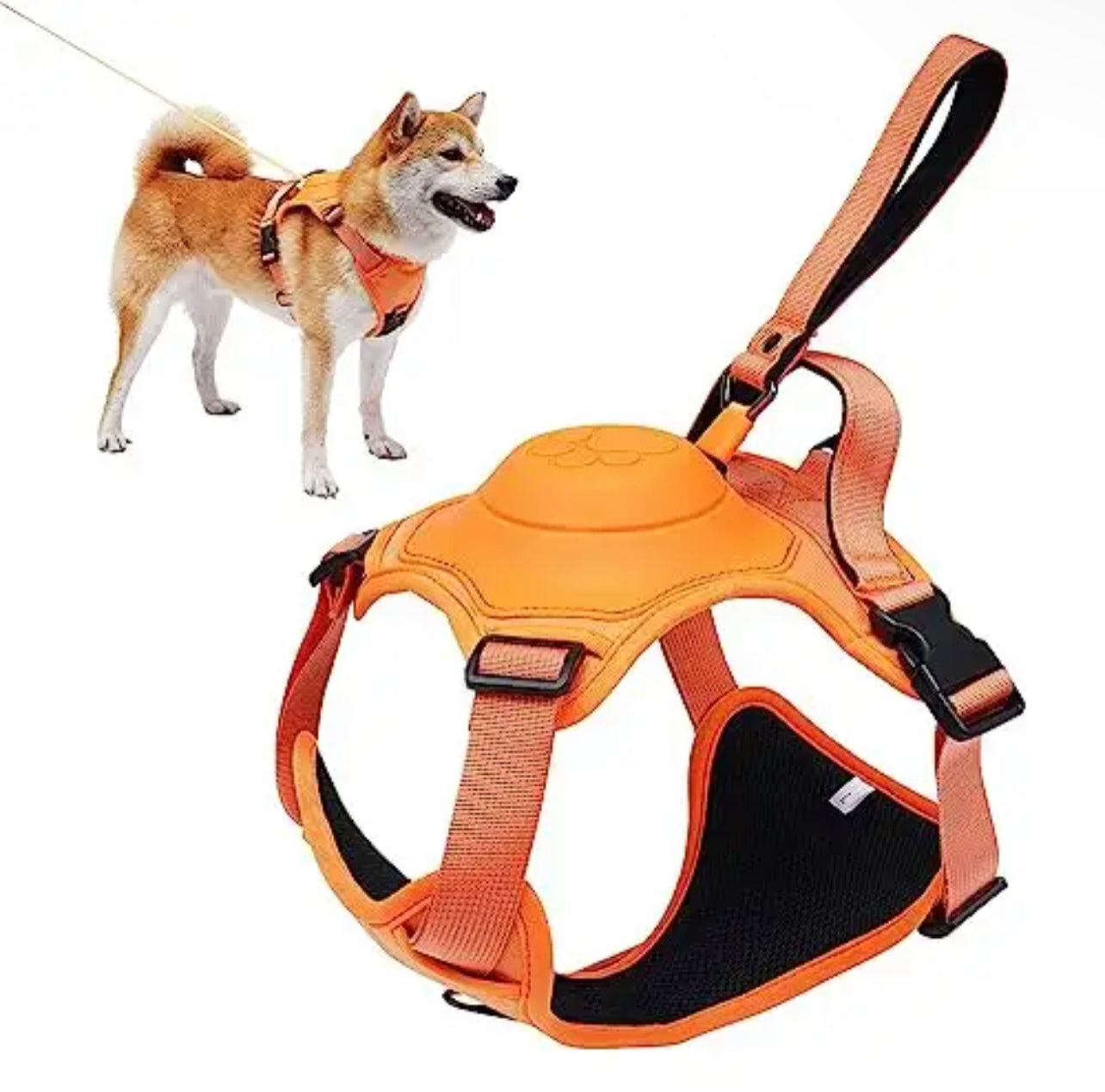 Dog Harness With Leash