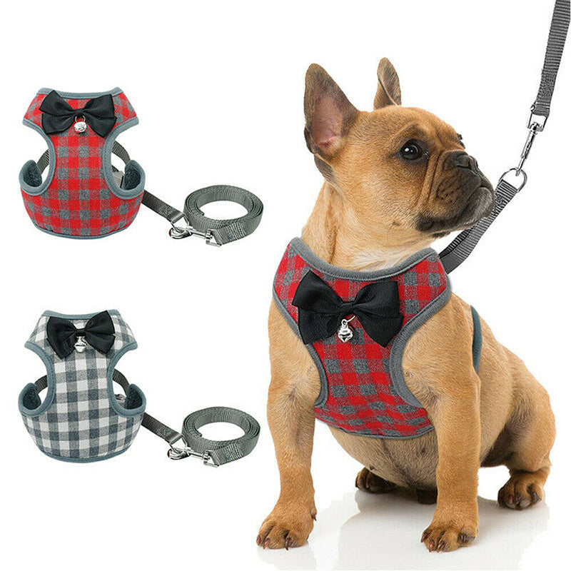 Dog leash And Harness