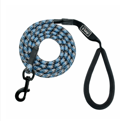 Dog Leash