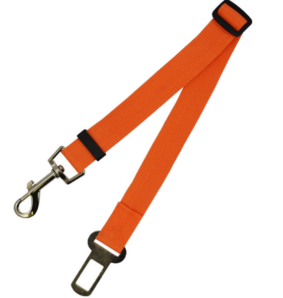 Fixed Strap Polyester Dog Leash