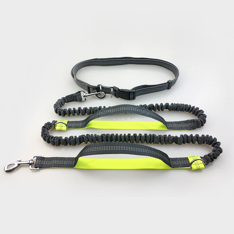 dog leash double elastic