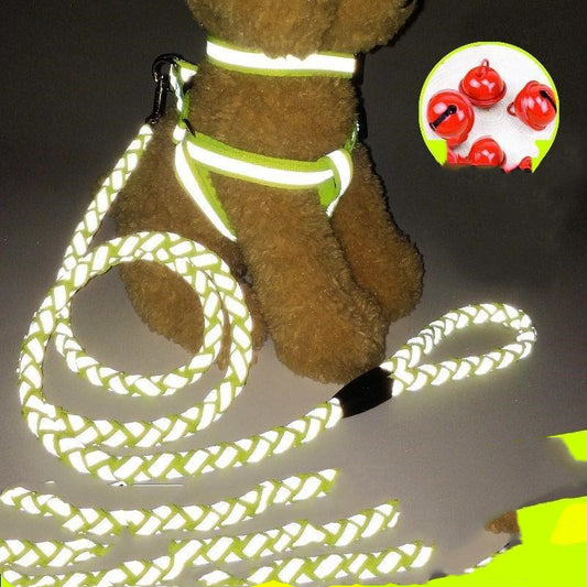 Pet dog leash