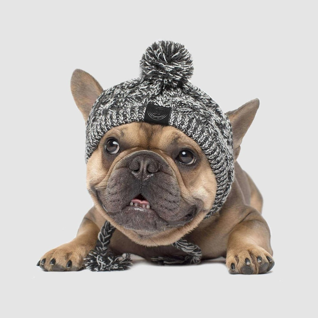 Winter Fashion Dog Hat