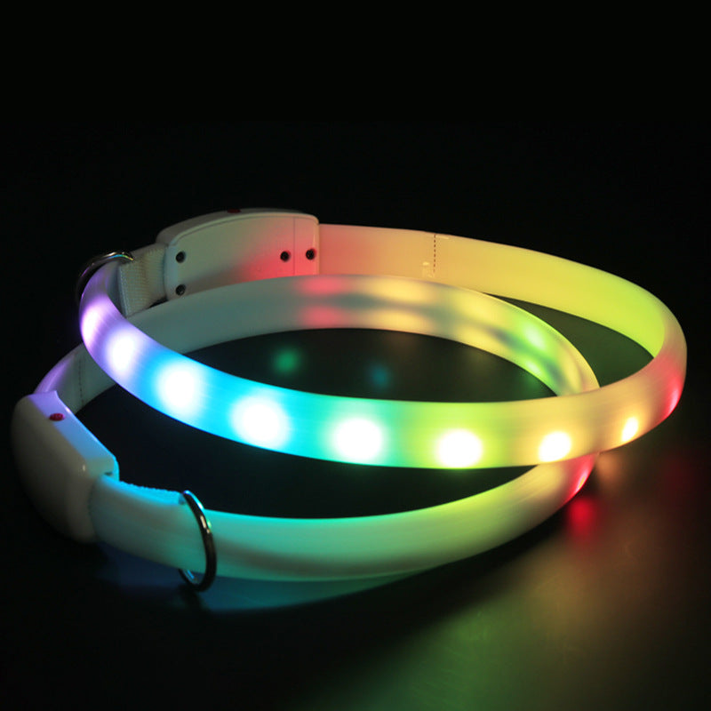 Dog Glowing Collar