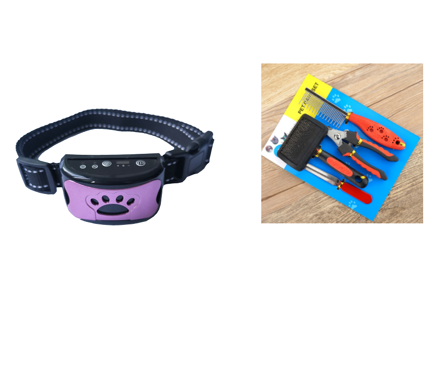 Dog Training Collar