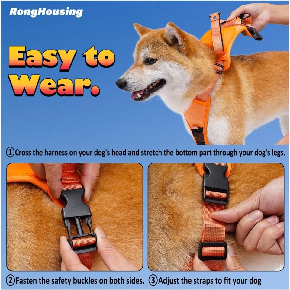 Dog Harness With Leash