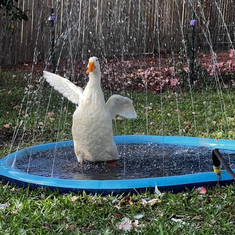 Water Sprinkler Mat