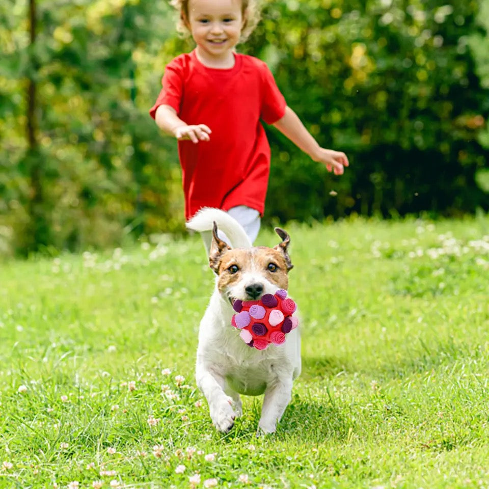 Snuffle Dog Toy