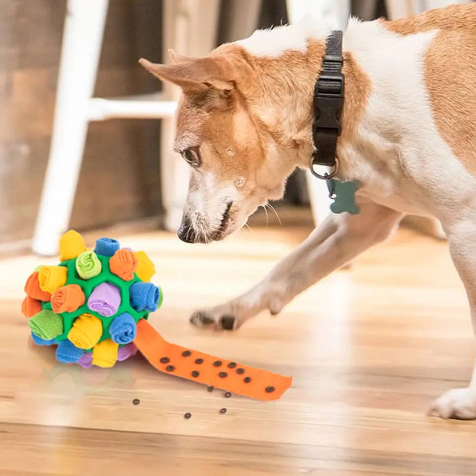 Snuffle Dog Toy