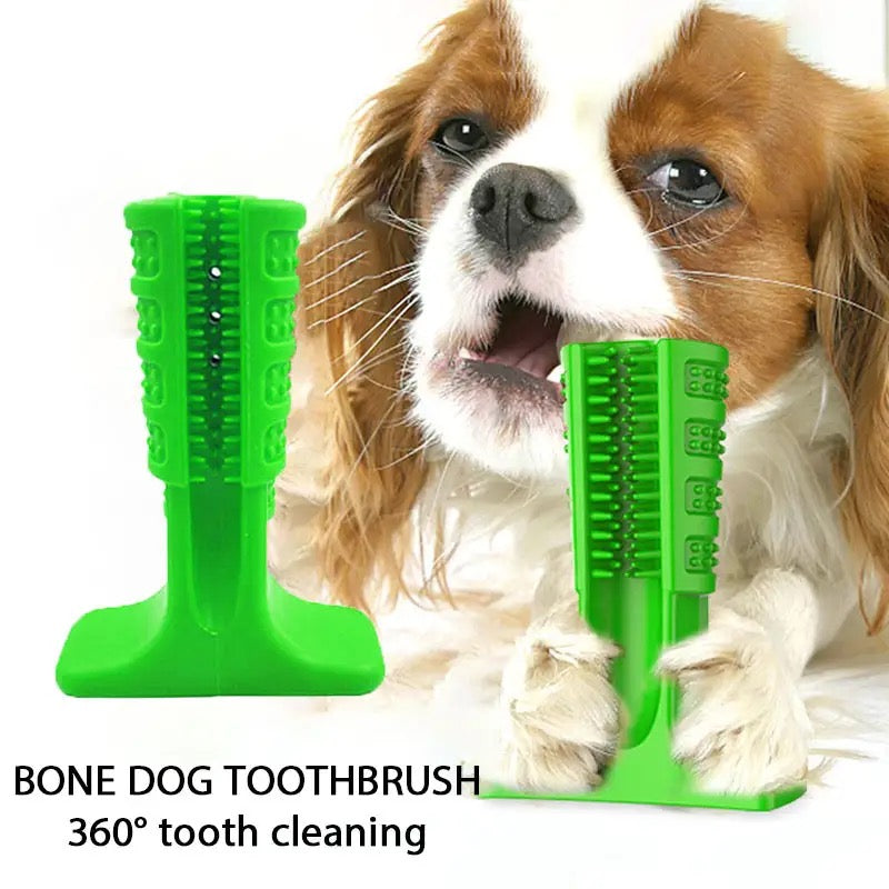 Rubber Dog Toothbrush