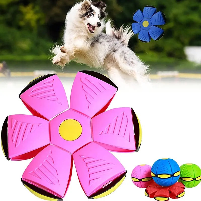 Dog Flying UFO Saucer Ball