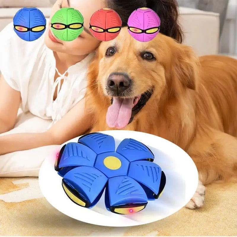 Dog Flying UFO Saucer Ball