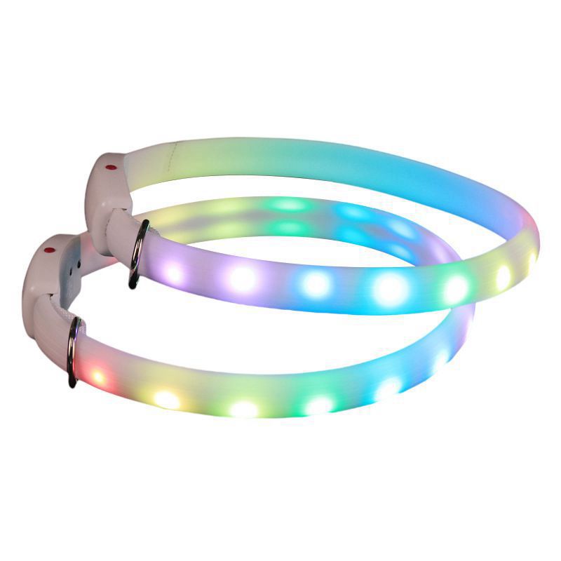 Dog Glowing Collar