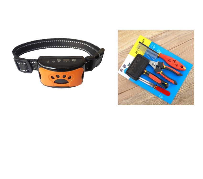 Dog Training Collar