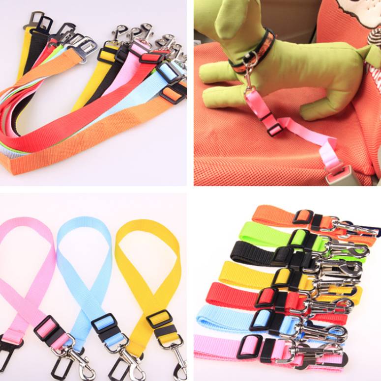 Fixed Strap Polyester Dog Leash