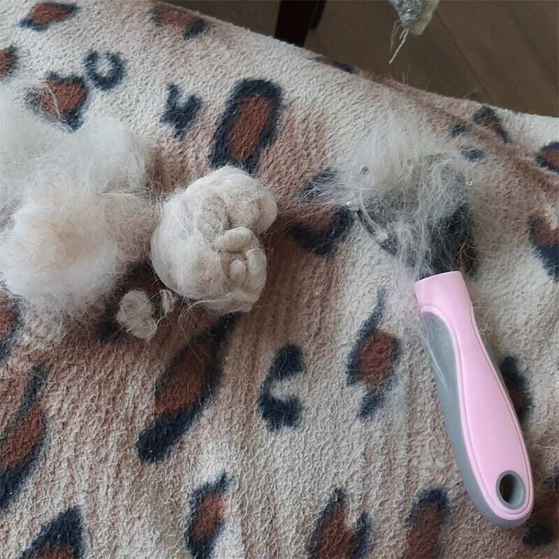 Grooming Brush For Dogs & Cats