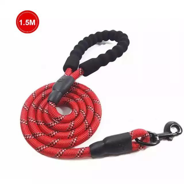 Dog Leash