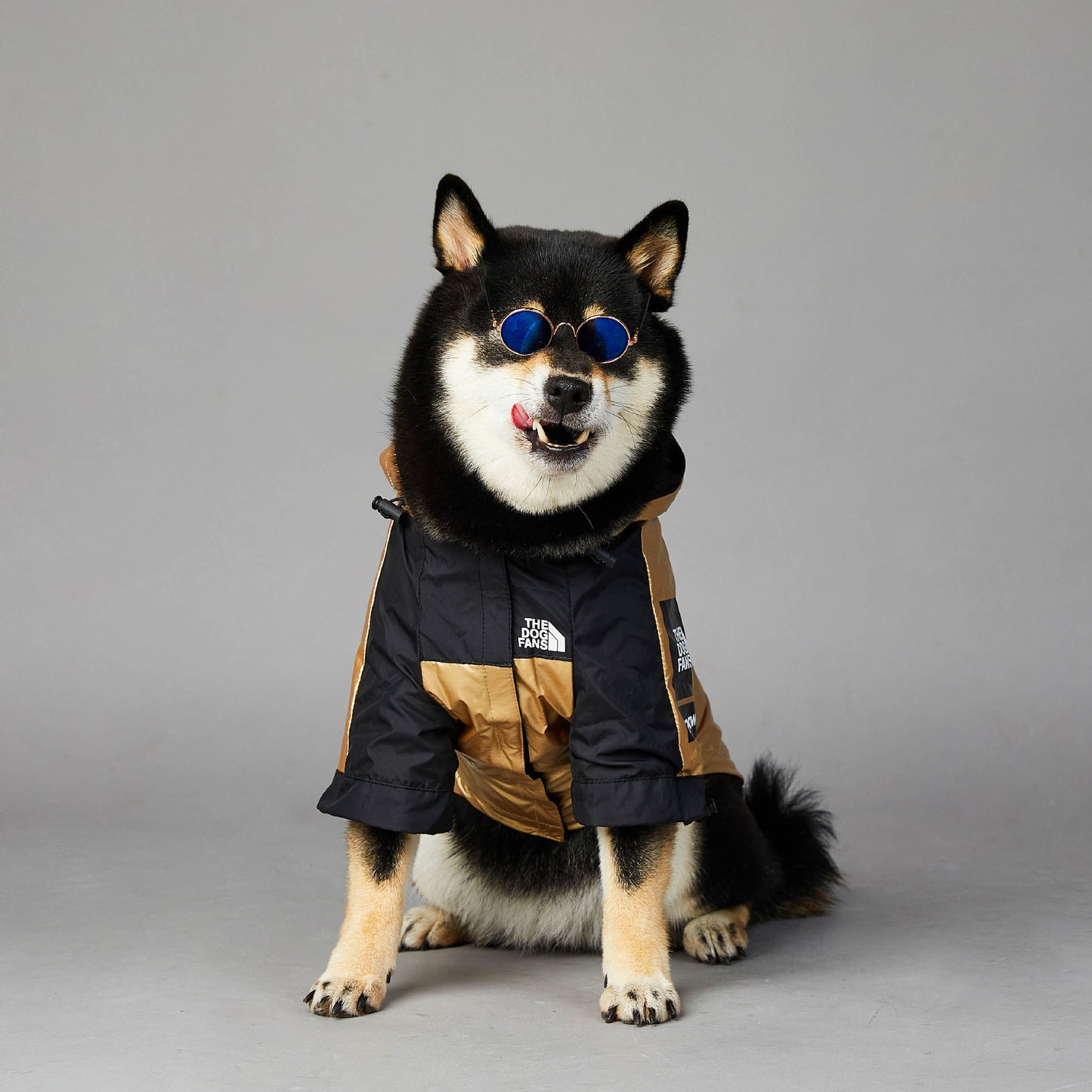 Dog Large Raincoat Pet Jacket