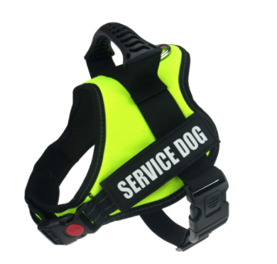 Dog Harness