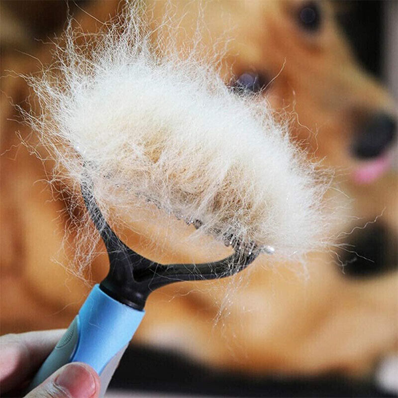 Grooming Brush For Dogs & Cats