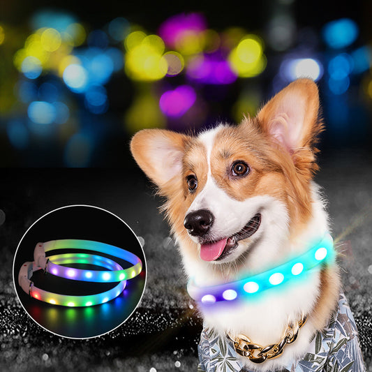 Dog Glowing Collar