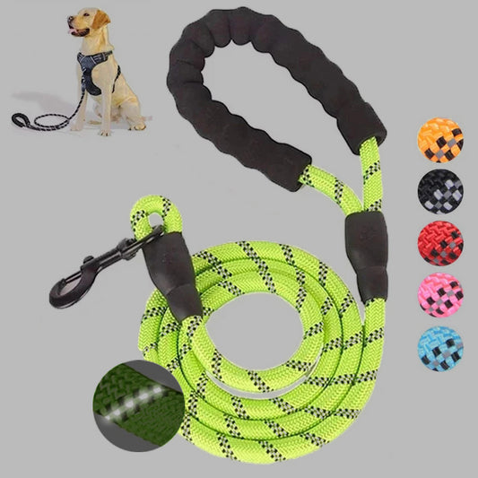 Dog Leash