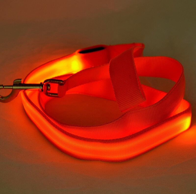 Glowing Pet Leash