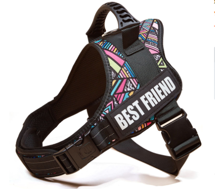 Dog Harness