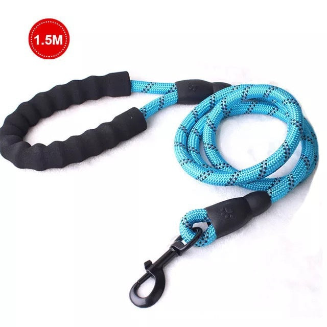 Dog Leash